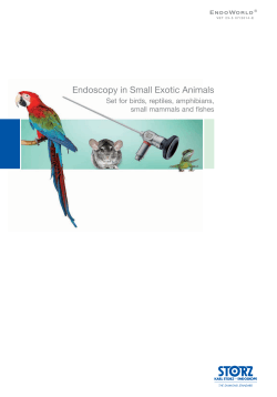 Endoscopy in Small Exotic Animals Set for birds, reptiles, amphibians,