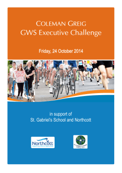 GWS Executive Challenge Friday, 24 October 2014 in support of