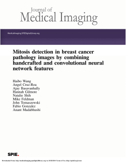 Mitosis detection in breast cancer pathology images by combining network features