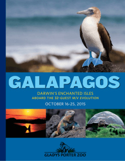 galapagos aboard the m v evolution
