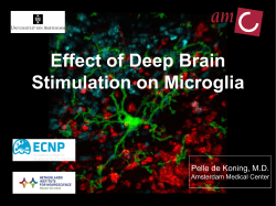 Effect of Deep Brain Stimulation on Microglia Pelle de Koning, M.D.