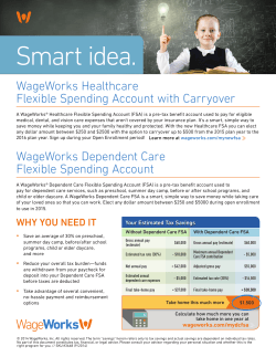 Smart idea. WageWorks Healthcare Flexible Spending Account with Carryover