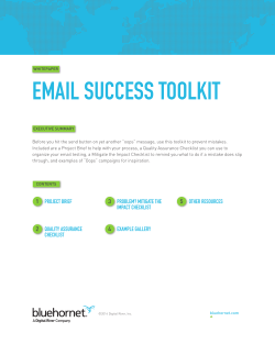 EMAIL SUCCESS TOOLKIT