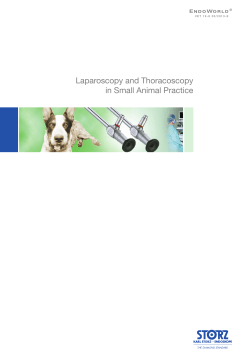 Laparoscopy and Thoracoscopy in Small Animal Practice