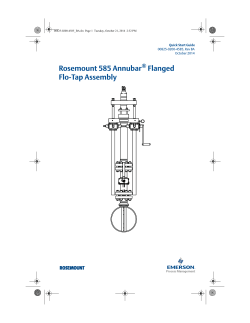 Rosemount 585 Annubar Flanged Flo-Tap Assembly ®