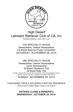 High Desert Labrador Retriever Club of CA, Inc 17th SPECIALTY SHOW
