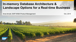 In-memory Database Architecture &amp; Landscape Options for a Real-time Business