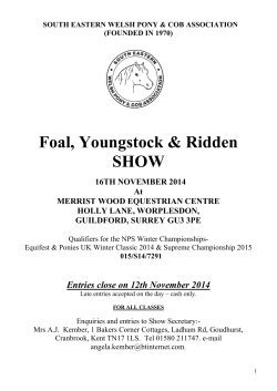 Foal, Youngstock &amp; Ridden SHOW  16TH NOVEMBER 2014