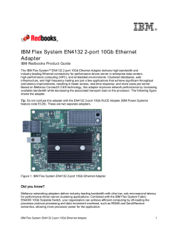 I B M IBM Flex System EN4132 2-port 10Gb Ethernet Adapter