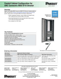 Panduit Cabinet Configuration for EMC Connectrix MDS 9710 Director Overview
