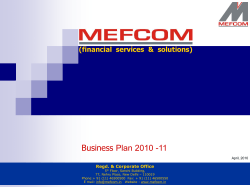 Business Plan 2010 -11 (financial  services  &amp;  solutions)