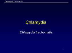 Chlamydia Chlamydia trachomatis Chlamydia Curriculum 1