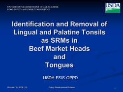 Identification and Removal of Lingual and Palatine Tonsils as SRMs in