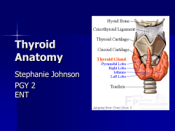 Thyroid Anatomy Stephanie Johnson PGY 2