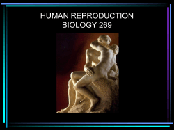 HUMAN REPRODUCTION BIOLOGY 269