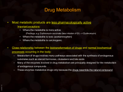 Drug Metabolism • Most metabolic products are less pharmacologically active
