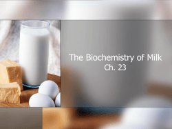 The Biochemistry of Milk Ch. 23
