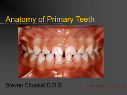 Anatomy of Primary Teeth Steven Chussid D.D.S.