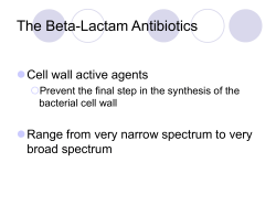 The Beta-Lactam Antibiotics  Cell wall active agents