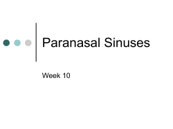 Paranasal Sinuses Week 10