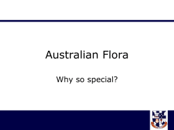 Australian Flora Why so special?