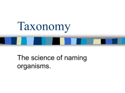 Taxonomy The science of naming organisms.