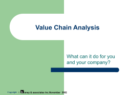 Value Chain Analysis What can it do for you and your company?
