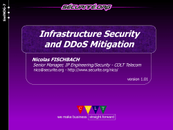 Infrastructure Security and DDoS Mitigation Nicolas FISCHBACH