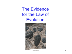 The Evidence for the Law of Evolution 1