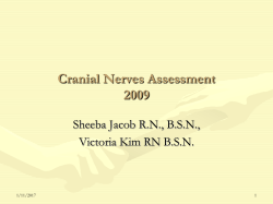 Cranial Nerves Assessment 2009 Sheeba Jacob R.N., B.S.N., Victoria Kim RN B.S.N.