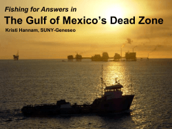 The Gulf of Mexico’s Dead Zone Fishing for Answers in