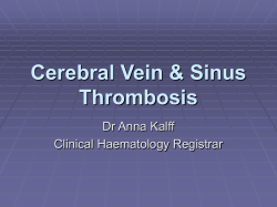 Cerebral Vein &amp; Sinus Thrombosis Dr Anna Kalff Clinical Haematology Registrar