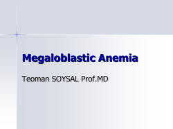 Megaloblastic Anemia Teoman SOYSAL Prof.MD