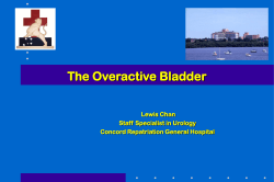 The Overactive Bladder Lewis Chan Staff Specialist in Urology Concord Repatriation General Hospital