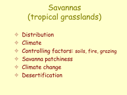 Savannas (tropical grasslands) Distribution 