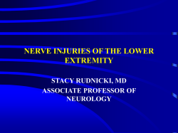 NERVE INJURIES OF THE LOWER EXTREMITY STACY RUDNICKI, MD ASSOCIATE PROFESSOR OF