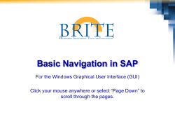 Basic Navigation in SAP