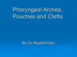 Pharyngeal Arches, Pouches and Clefts By: Dr. Mujahid Khan