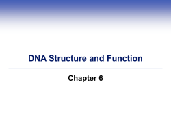 DNA Structure and Function Chapter 6