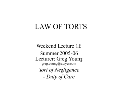 LAW OF TORTS Weekend Lecture 1B Summer 2005-06 Lecturer: Greg Young