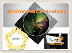 Environmental Analysis 1
