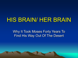 HIS BRAIN/ HER BRAIN Why It Took Moses Forty Years To