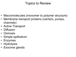Topics to Review