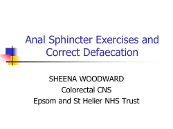 Anal Sphincter Exercises and Correct Defaecation SHEENA WOODWARD Colorectal CNS