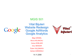 Vital Bijuteri Website Redesign Google AdWords Google Analytics