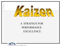 A  STRATEGY FOR PERFORMANCE EXCELLENCE 