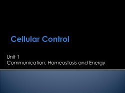 Cellular Control Unit 1 Communication, Homeostasis and Energy