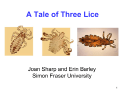 A Tale of Three Lice Joan Sharp and Erin Barley 1