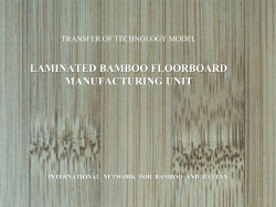 LAMINATED BAMBOO FLOORBOARD MANUFACTURING UNIT TRANSFER OF TECHNOLOGY MODEL
