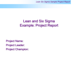 Lean and Six Sigma Example: Project Report Project Name: Project Leader: